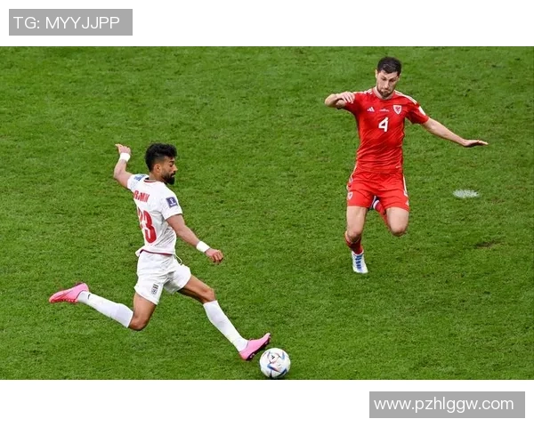 男排世界杯精彩对决伊朗强势挑战澳大利亚争夺胜利荣耀